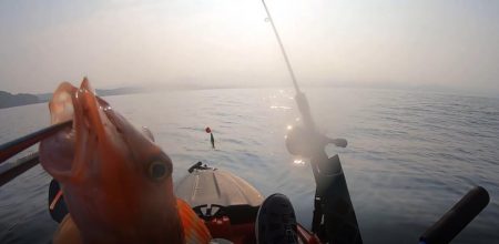 カヤックコラボｗオジサンにホウボウｗガラカブの根魚